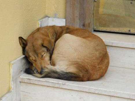 GDPR v fakturaci: Bezpečné nastavení pro malé podniky krok za krokem